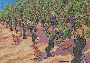 Vineyard Chickens