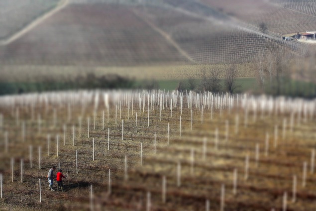 workers tilt shift