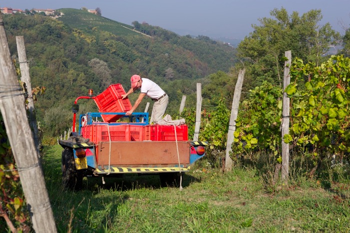 2013 harvest3