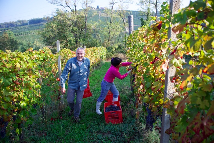 2013 harvest5