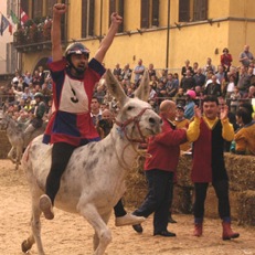 palio16