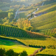 Langhe