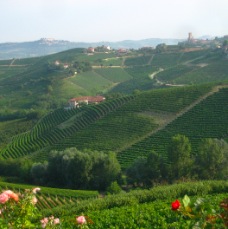 Barbaresco Tower