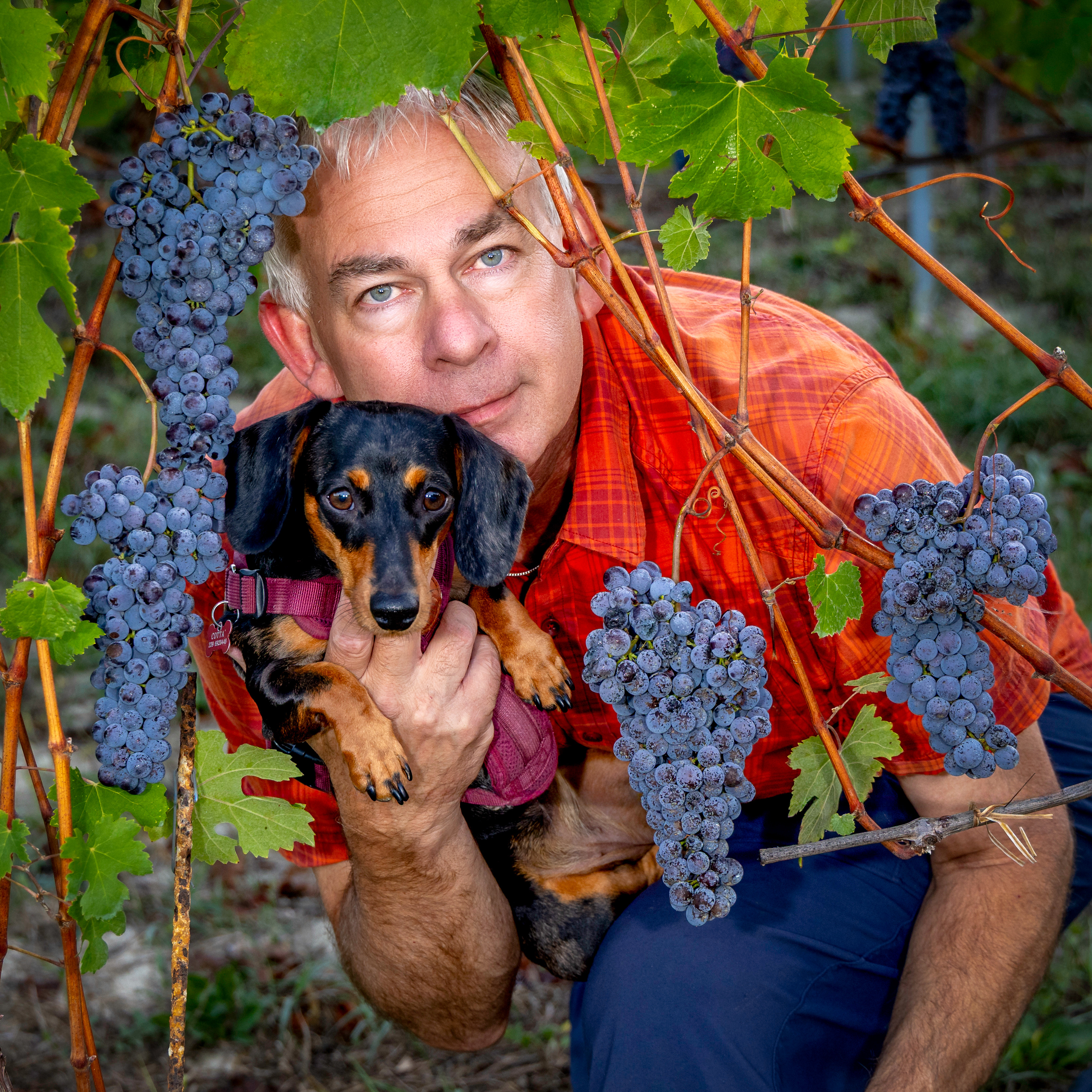 F51564F9-4B1B-43DC-AF03-F38DEA6AF3CD